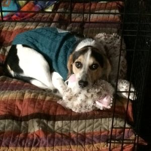 Meet your Posher, Diane